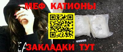 мяу мяу мука Будённовск