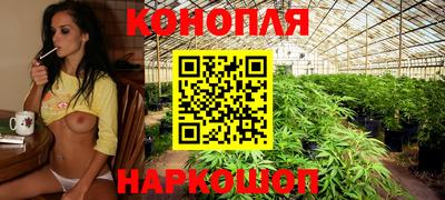 мяу мяу мука Будённовск