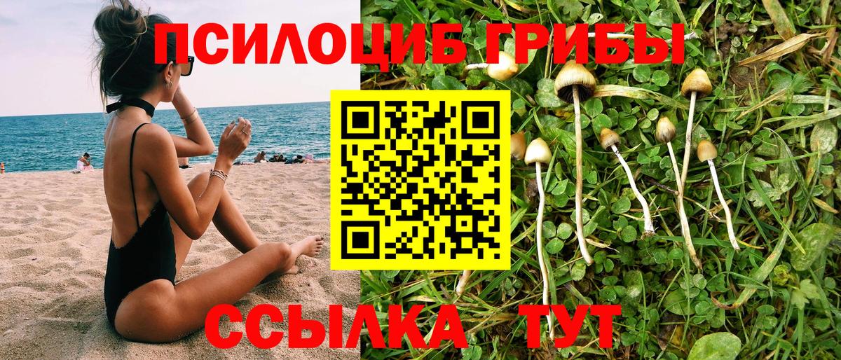 Туапсе  Псилоцибиновые грибы Magic Shrooms  Вход с VPN 