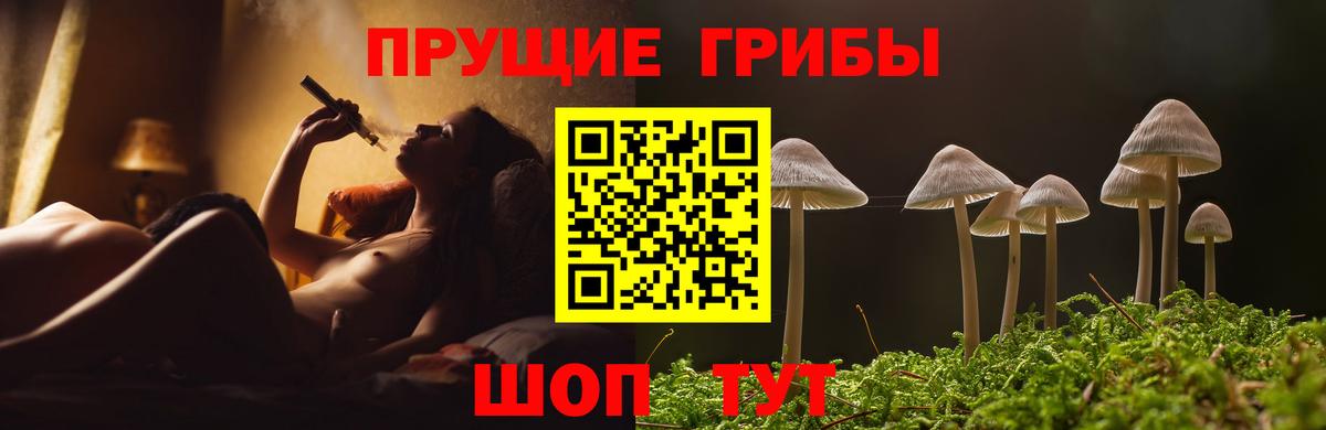 Псилоцибиновые грибы Psilocybine cubensis Туапсе
